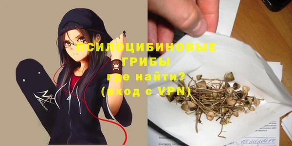 эйфоретик Нефтегорск
