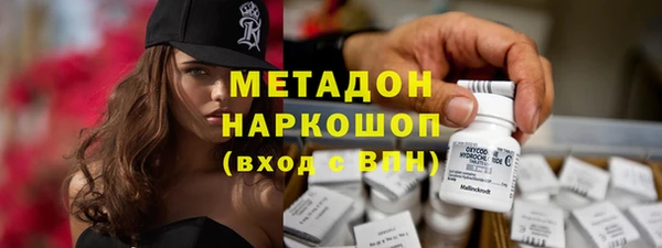сатива Болхов