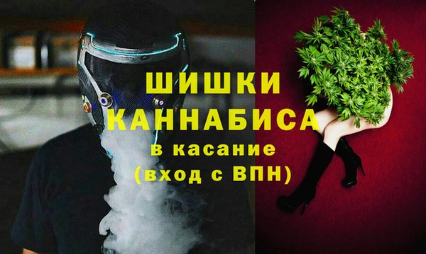 твердый Болотное