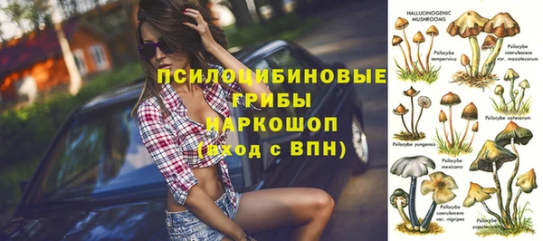 эйфоретик Нефтегорск