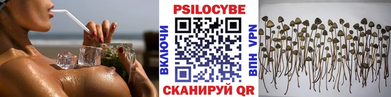 как найти наркотики  Красноуральск  Псилоцибиновые грибы Psilocybe 
